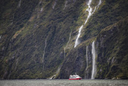 New Zealand 2025 (2 group) (61/84)